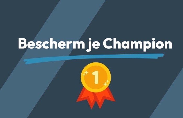 B2B Champion