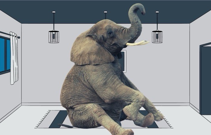 Olifant in de kamer