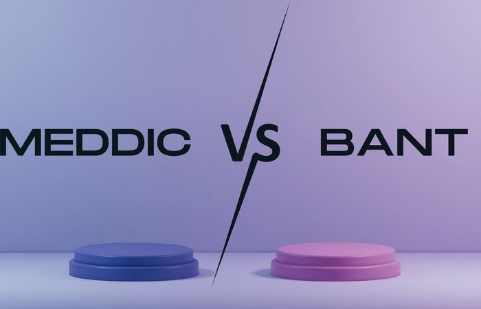 Bant vs Meddic