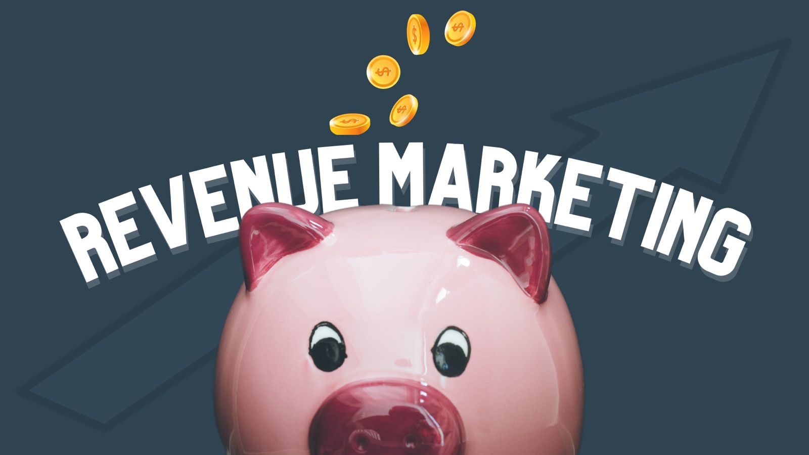 Revenue marketing